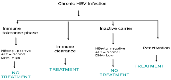 hepatitis b treatment algorithm
